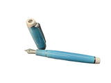 Sailor Fountain Pen Pro Gear Slim Japanese Scenery Nyudogumo with 14k Nib