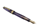 Sailor Pen of the Year 2025 Grape Expectations 1911L North America Exclusive Fountain Pen NEW!