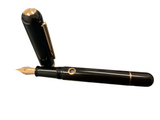 Nahvalur Nautilus Fountain Pen, Cephalopod with Rose Gold Trim