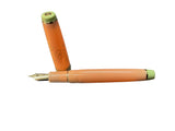 Sailor Fountain Pen Pro Gear Slim Japanese Scenery Hana-Ikada with 14k Nib