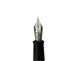 Benu Euphoria Jazz Fountain Pen With Flex nib New!