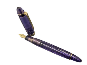 Sailor Pen of the Year 2025 Grape Expectations 1911L North America Exclusive Fountain Pen NEW!