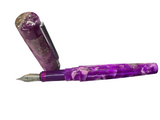 Benu Daily Mate Exciting Friday Fountain Pen  NEW!
