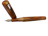 Benu Daily Mate Relaxing Sunday Fountain Pens  NEW!